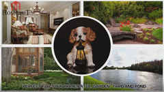 Solar Garden Puppy Spaniel with Lantern