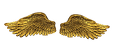 Pair of Angel Wings