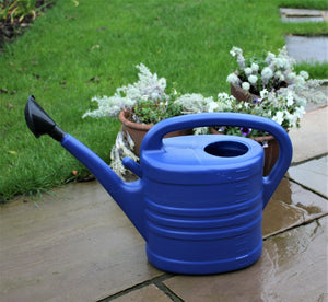 Watering Can With Rose - Blue