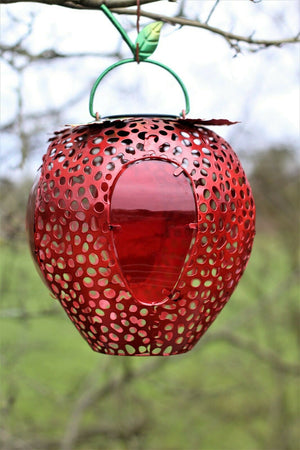 Solar Strawberry Hanging or Table Lamp Lantern