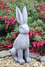 Ceramic Rabbit Wild Hare
