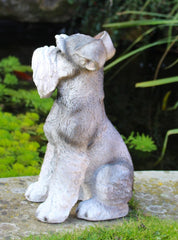 Schnauzer Ornament 34cm
