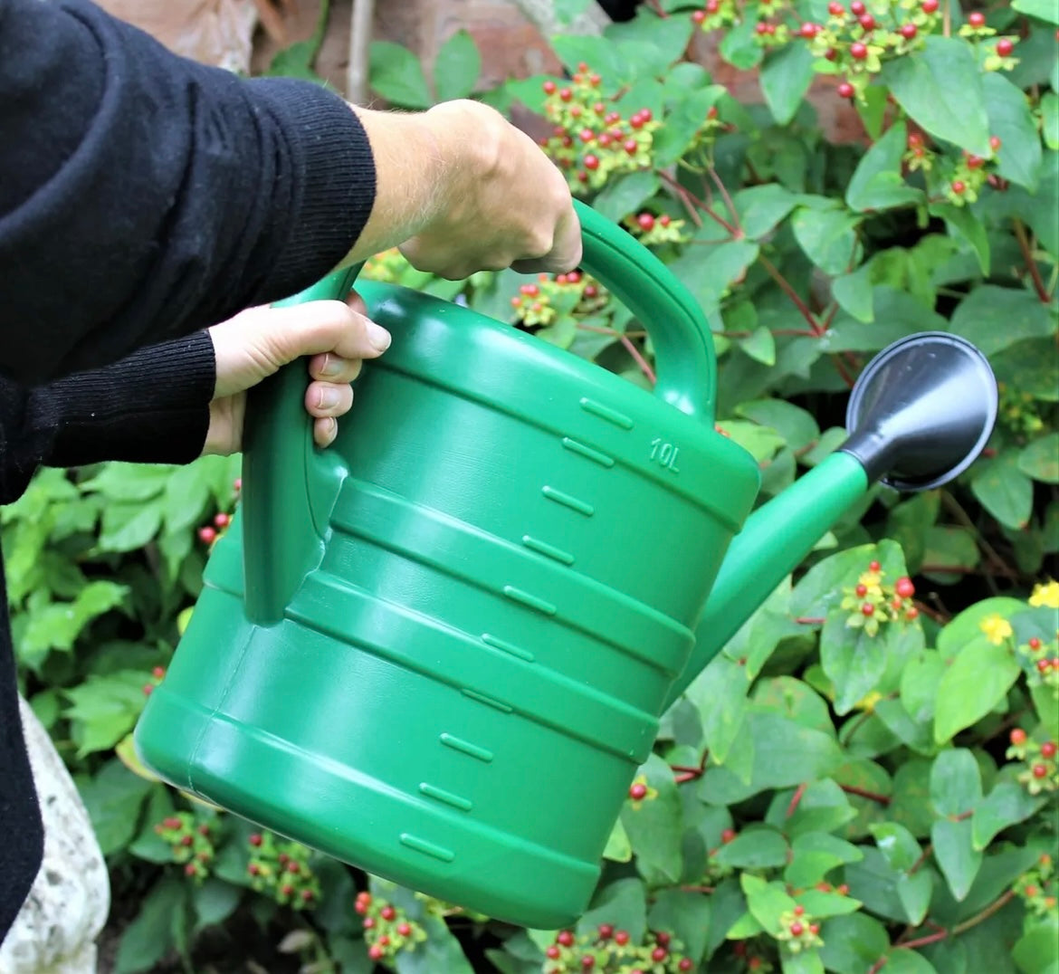 Watering Can With Rose - Green