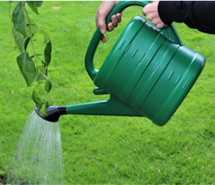 Watering Can With Rose - Green