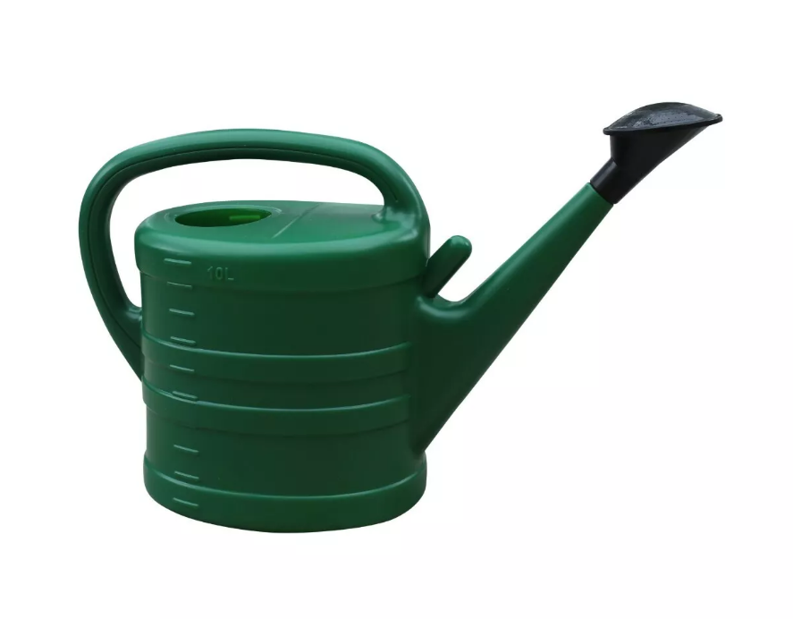 Watering Can With Rose - Green