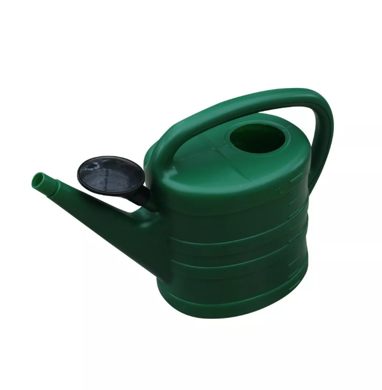 Watering Can With Rose - Green