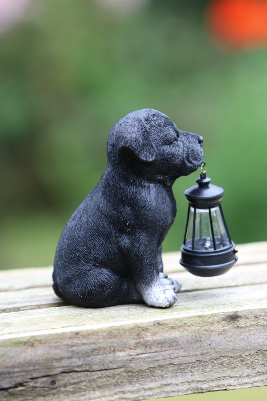 Solar Garden Puppy with Lantern