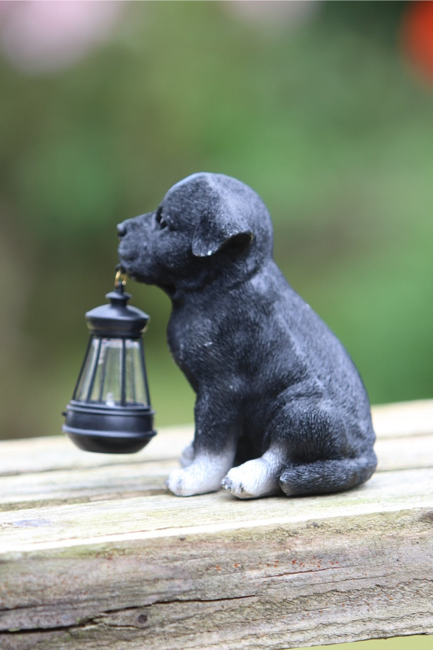 Solar Garden Puppy with Lantern