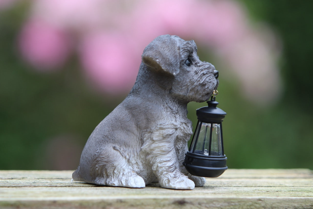 Solar Garden Westie Puppy with Lantern