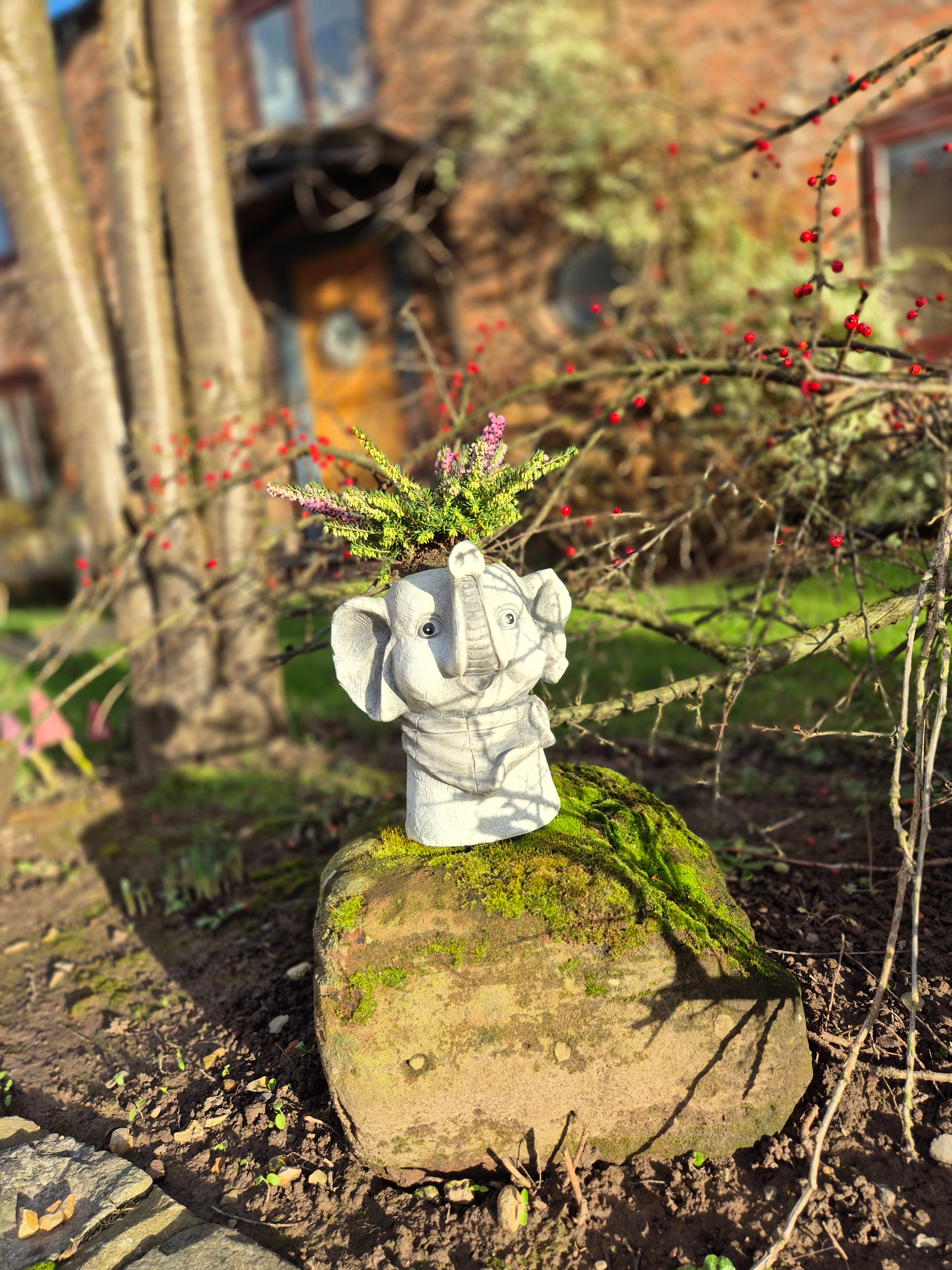 Elephant Head Pot Planter