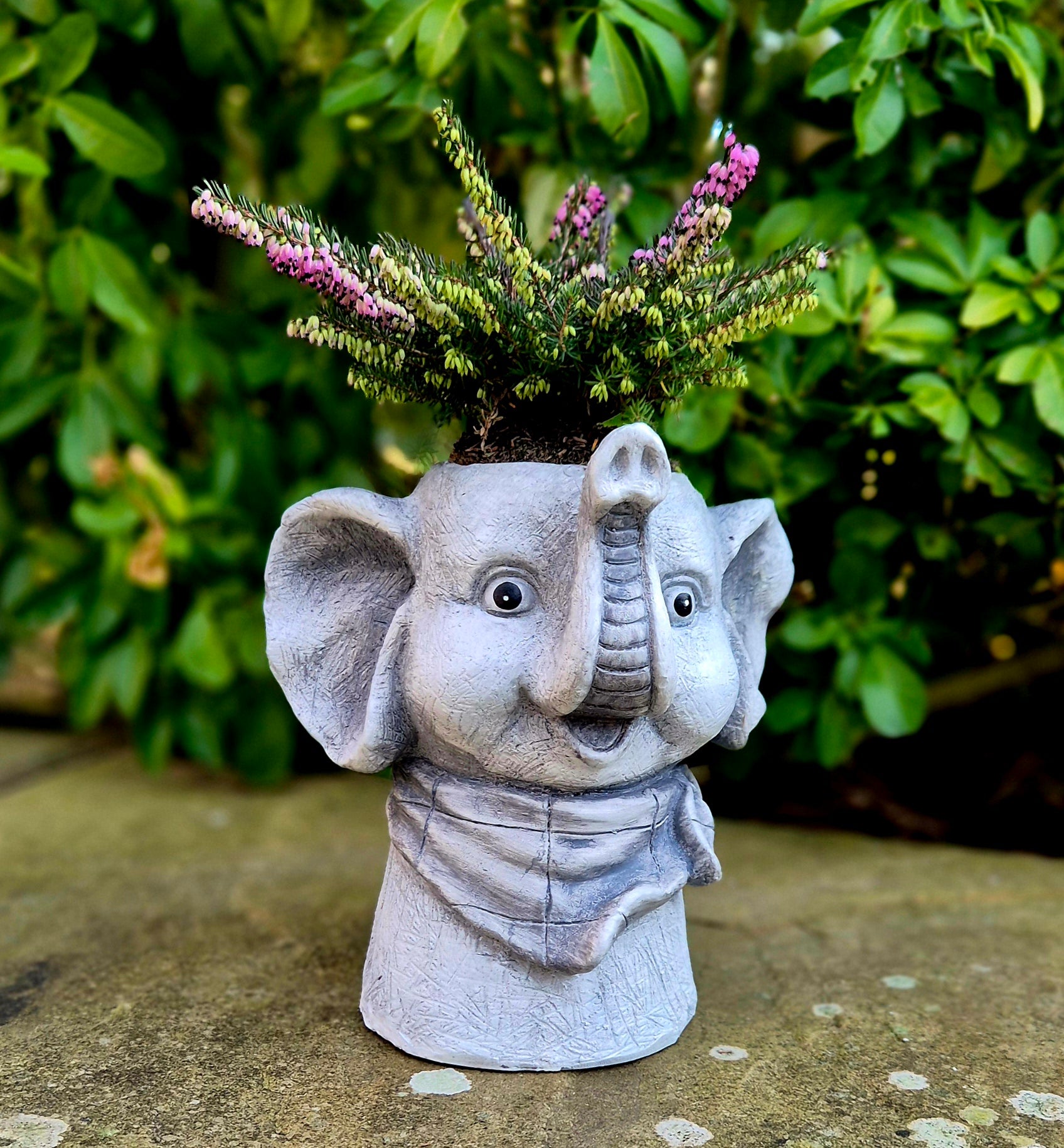 Elephant Head Pot Planter