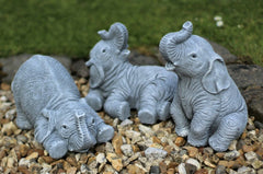 3 Laughing Elephants