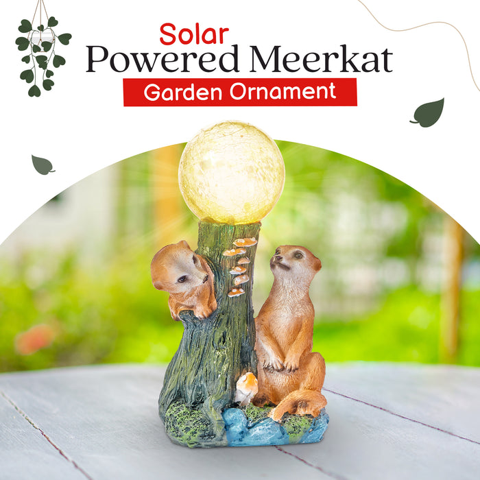 Solar Meerkat Garden Ornament with light up Flower