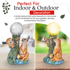 Solar Meerkat Garden Ornament with light up Flower