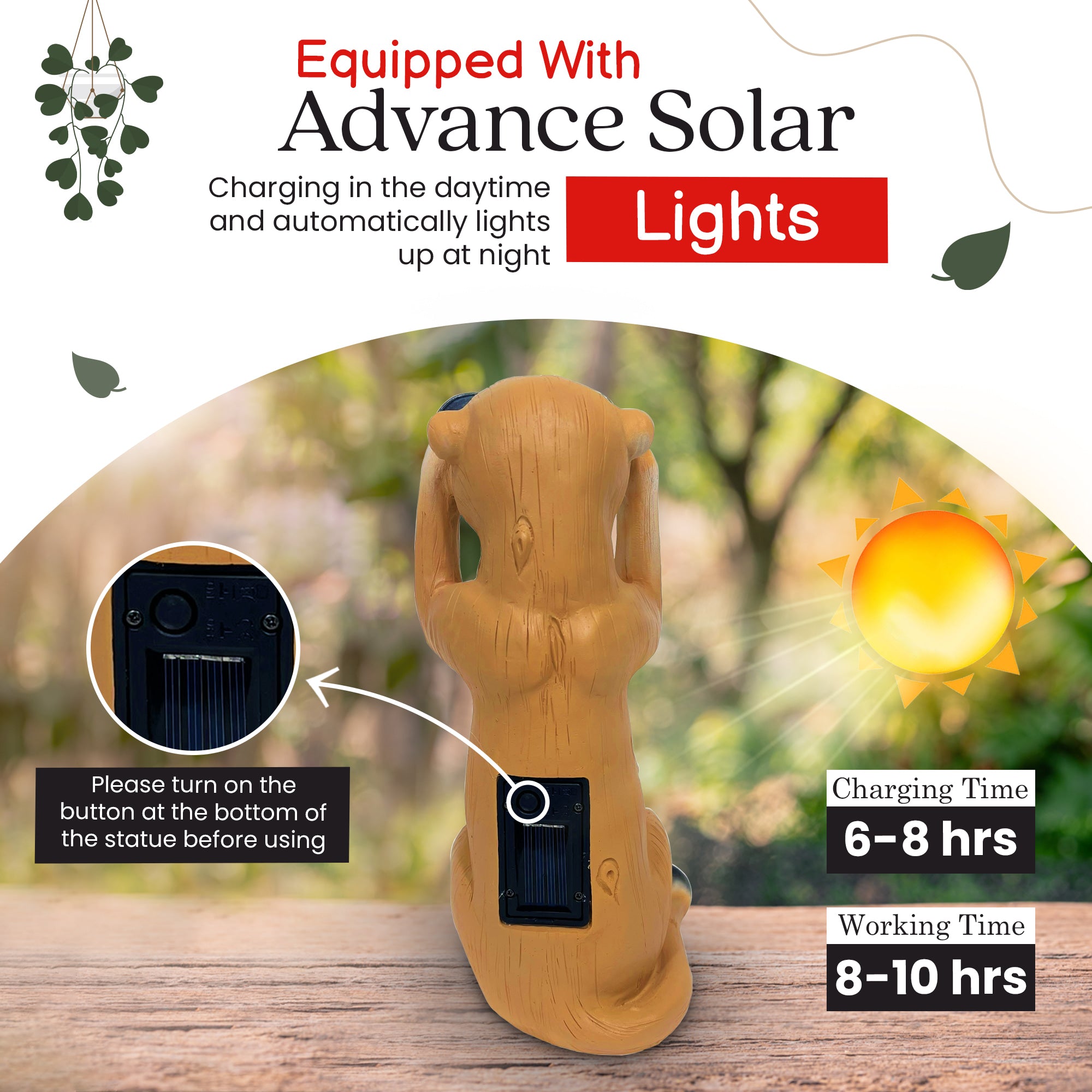 Solar powered Meerkat with light up Binoculars