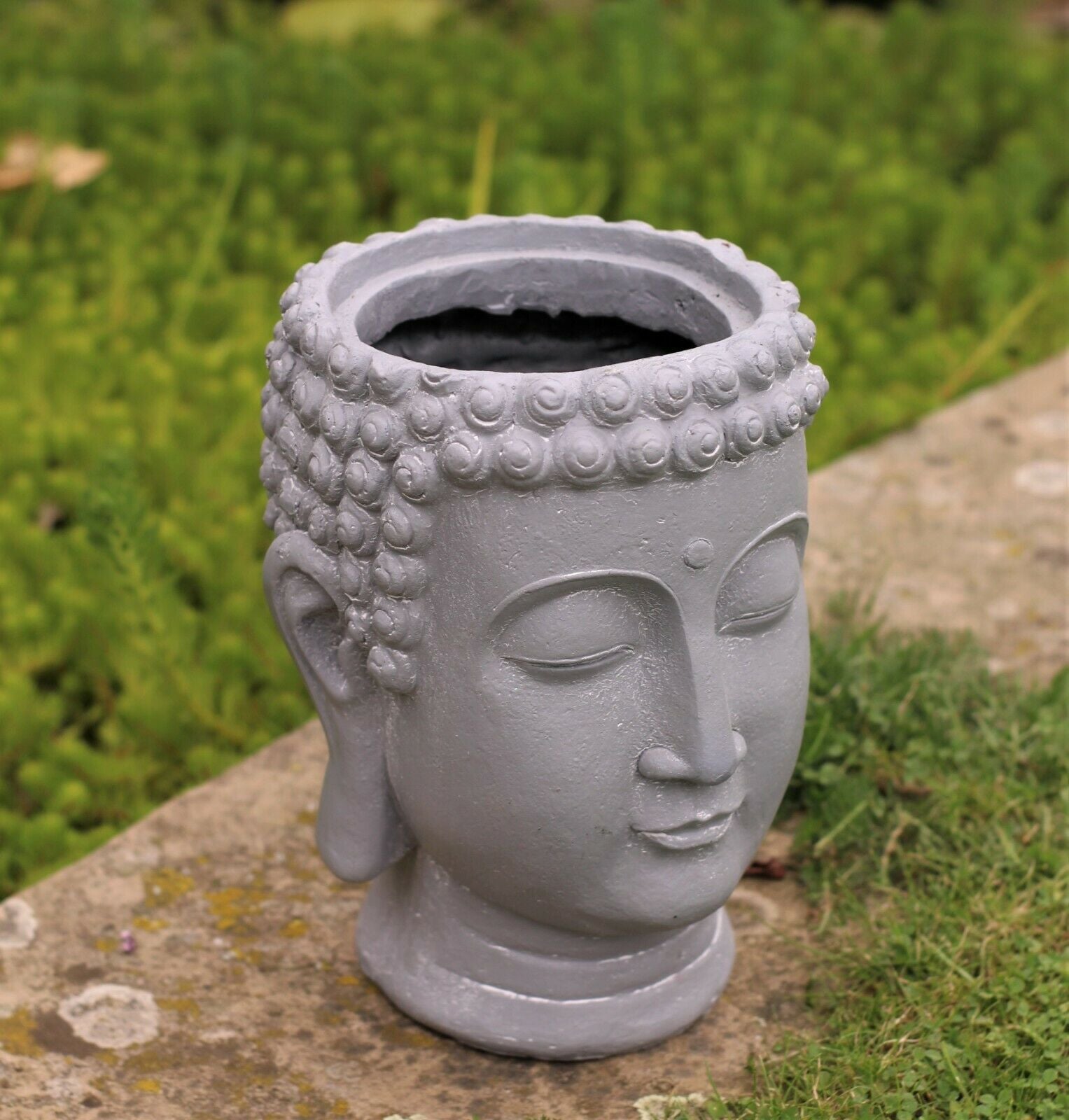 Buddha Head Planter