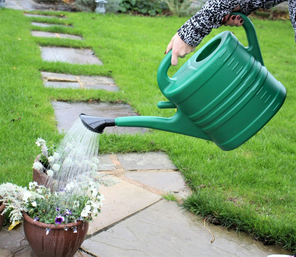 Green Watering Can With Rose 2.5 Gallons 14 Litre