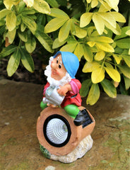 Cheeky Garden Gnome Solar Lights