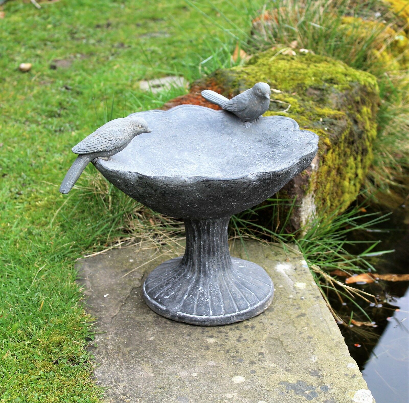 Bird Bath