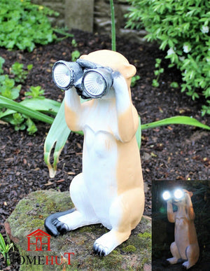 Solar powered Meerkat with light up Binoculars