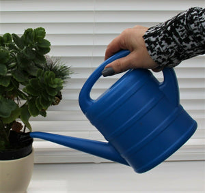 Blue Watering Can 1 Ltr