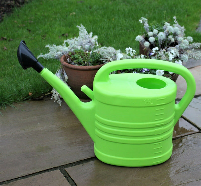 Lime Green Watering Can With Rose