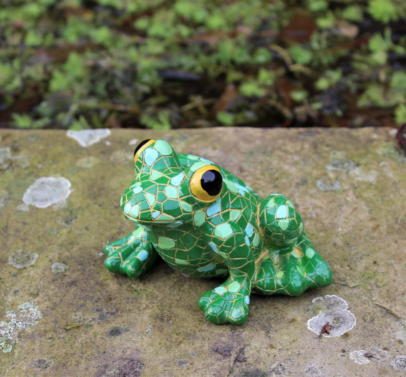 Mosaic Garden and Tree Frog