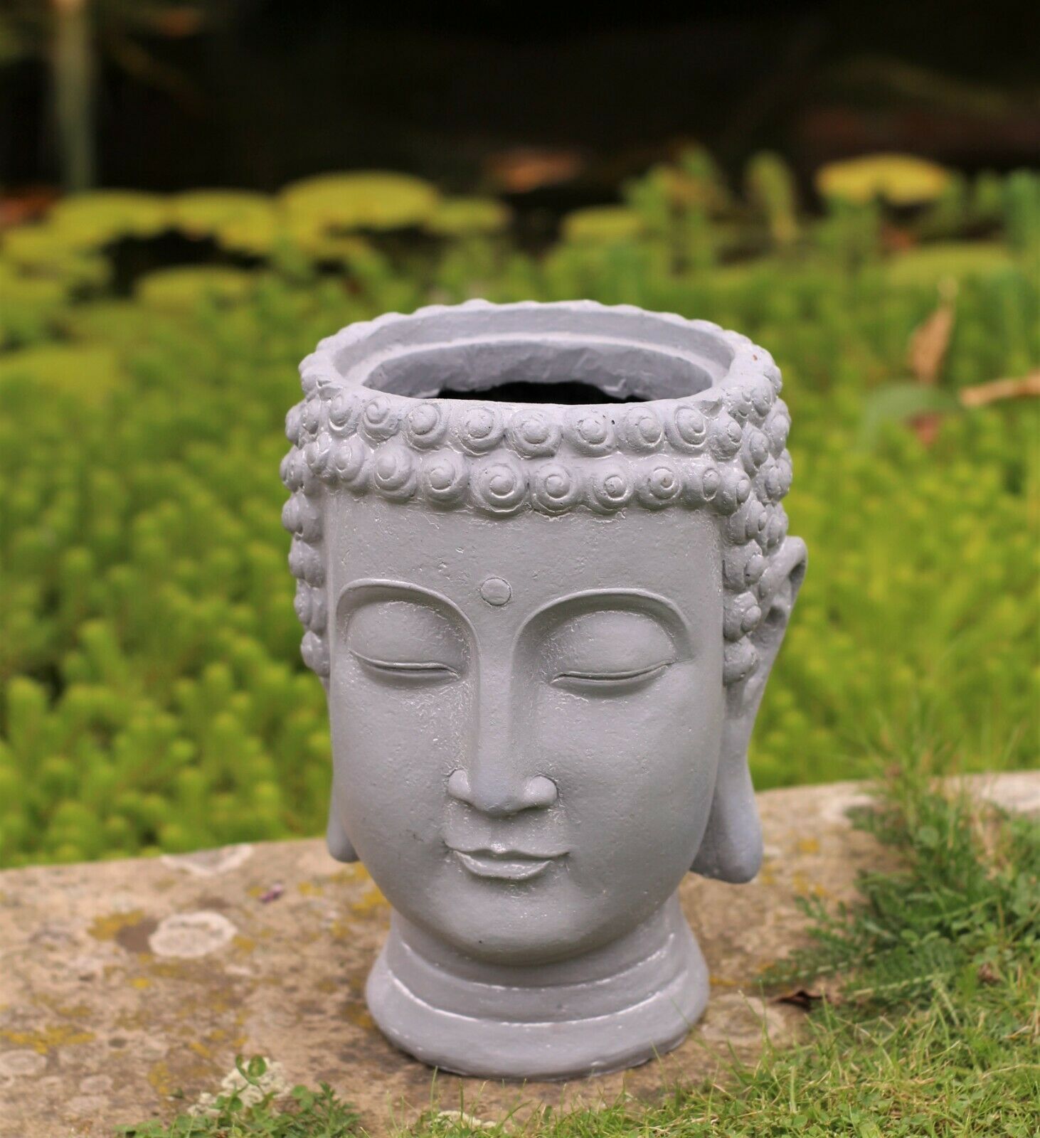 Buddha Head Pot Planter