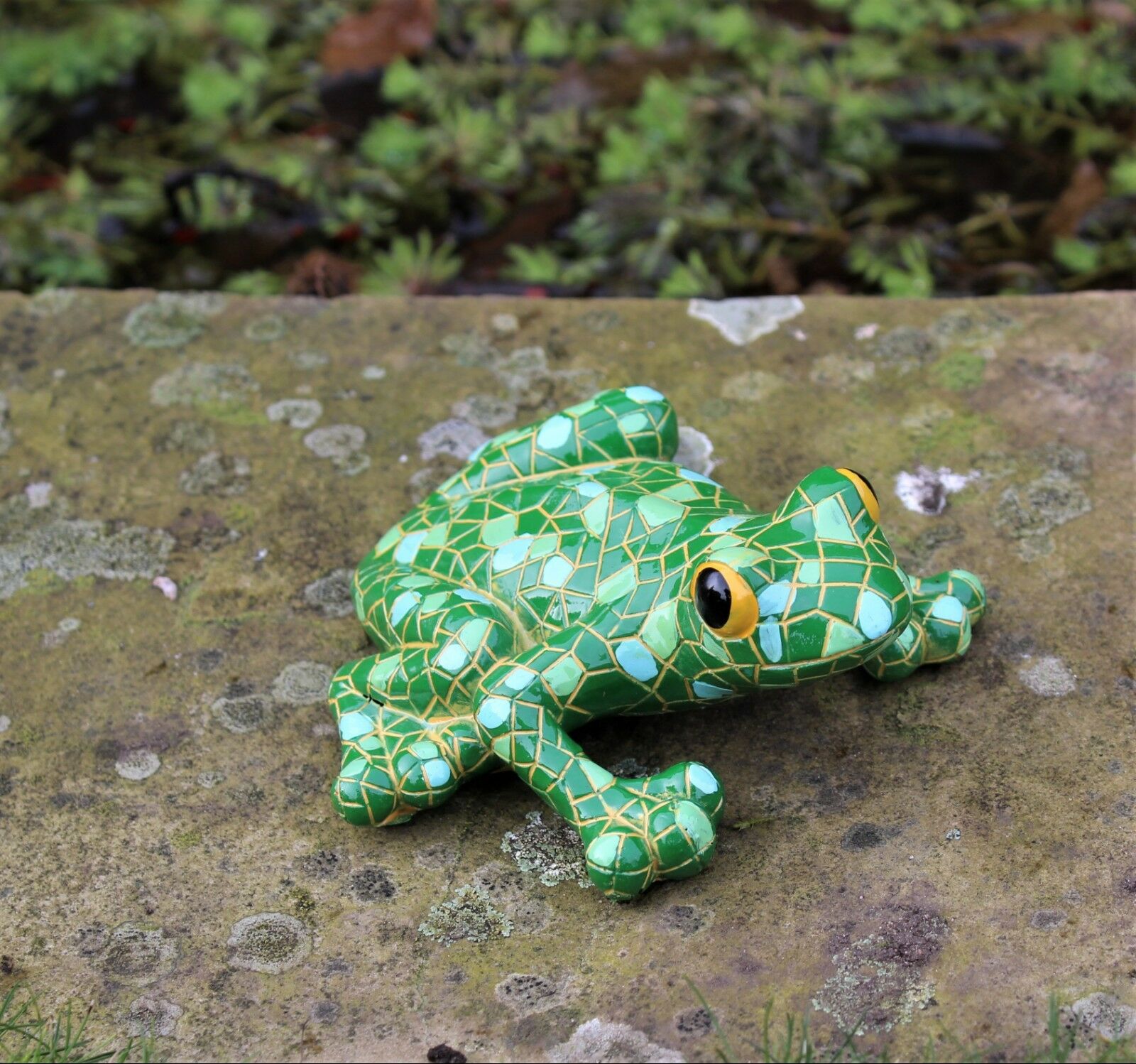 Mosaic Garden and Tree Frog