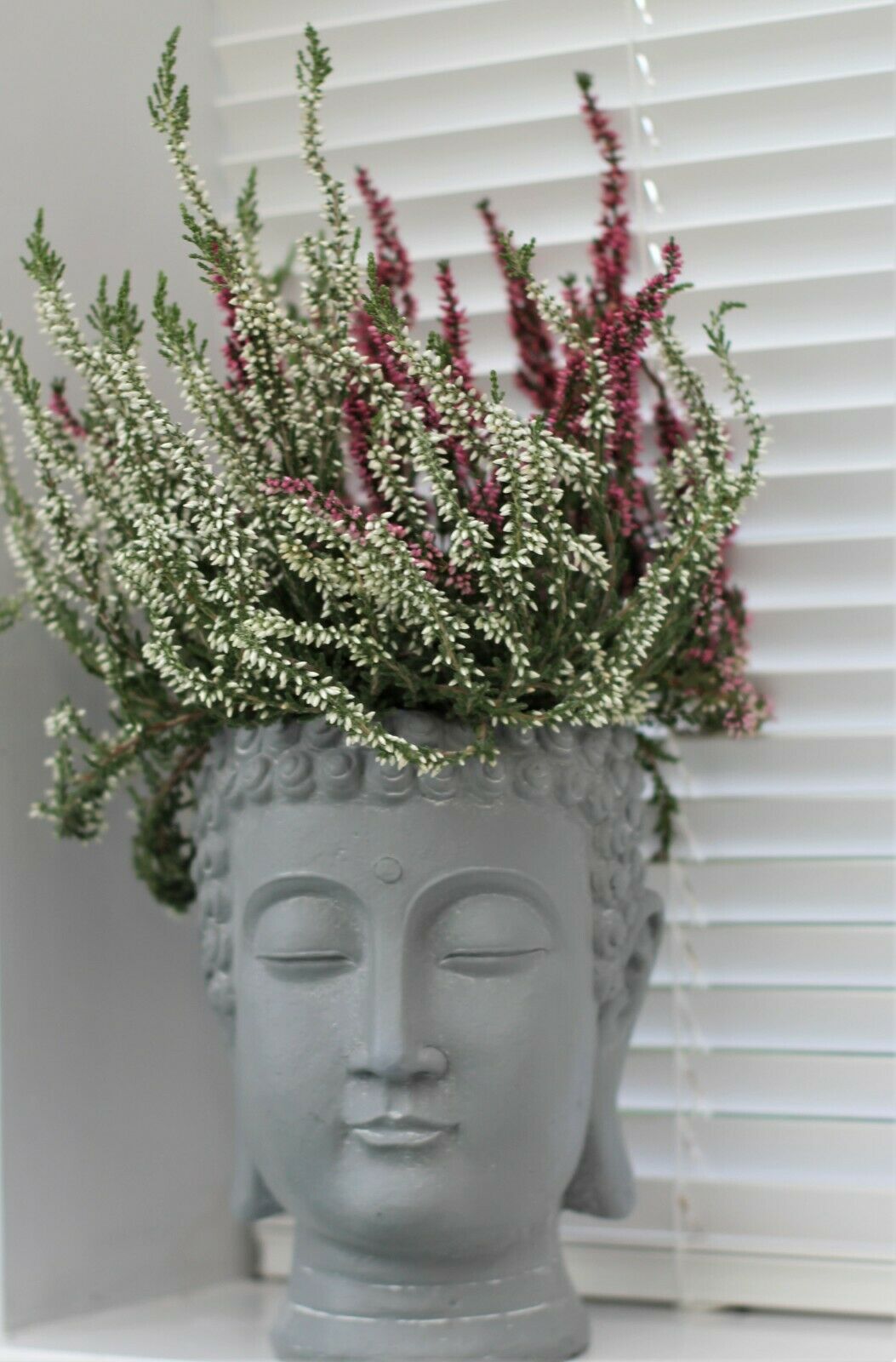 Buddha Head Pot Planter