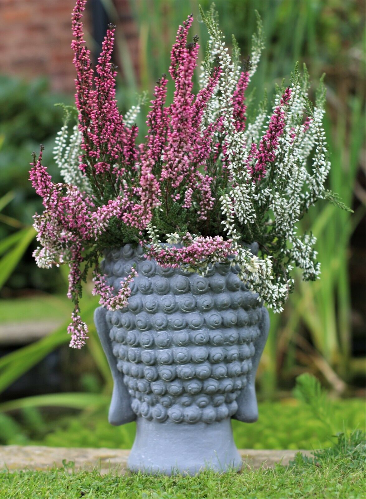 Buddha Head Planter