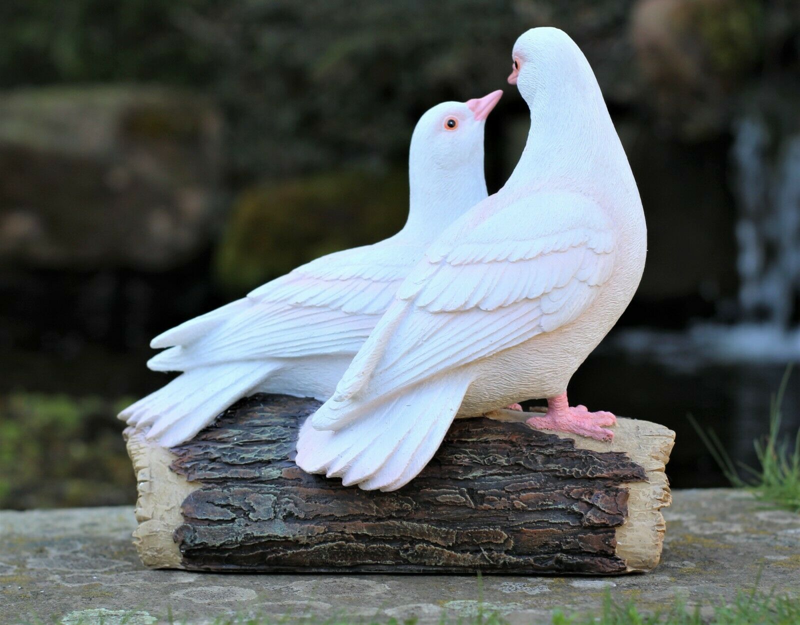 Love Doves