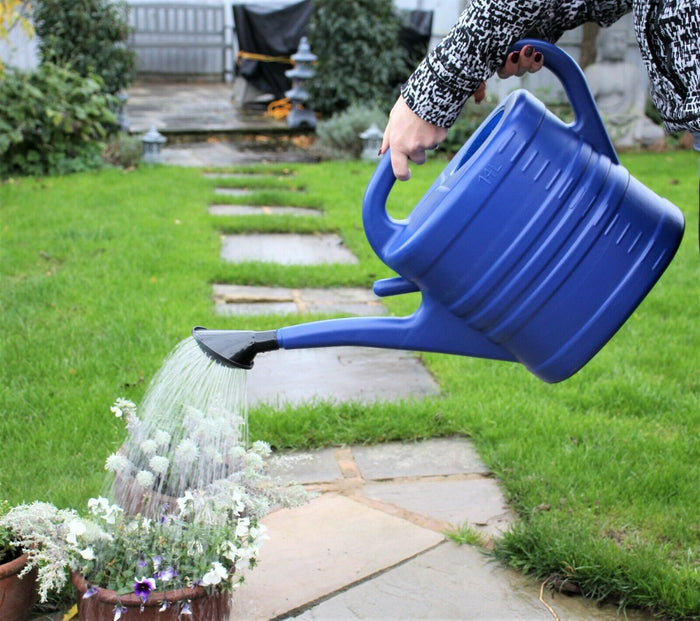 Navy Watering Can With Rose
