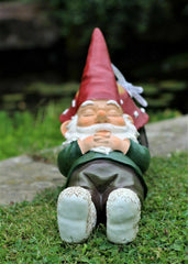 Sleeping Gnome