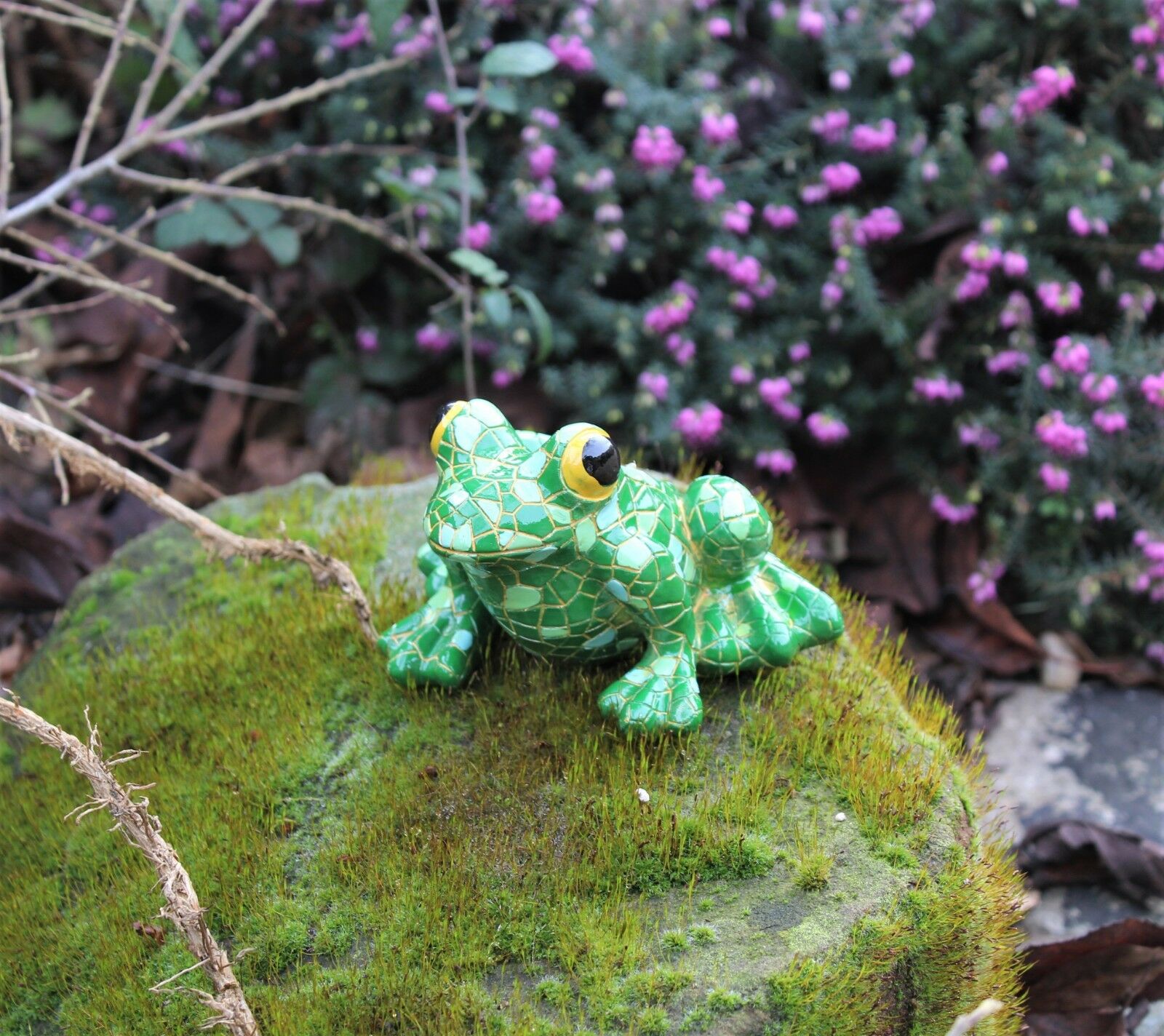 Mosaic Garden and Tree Frog