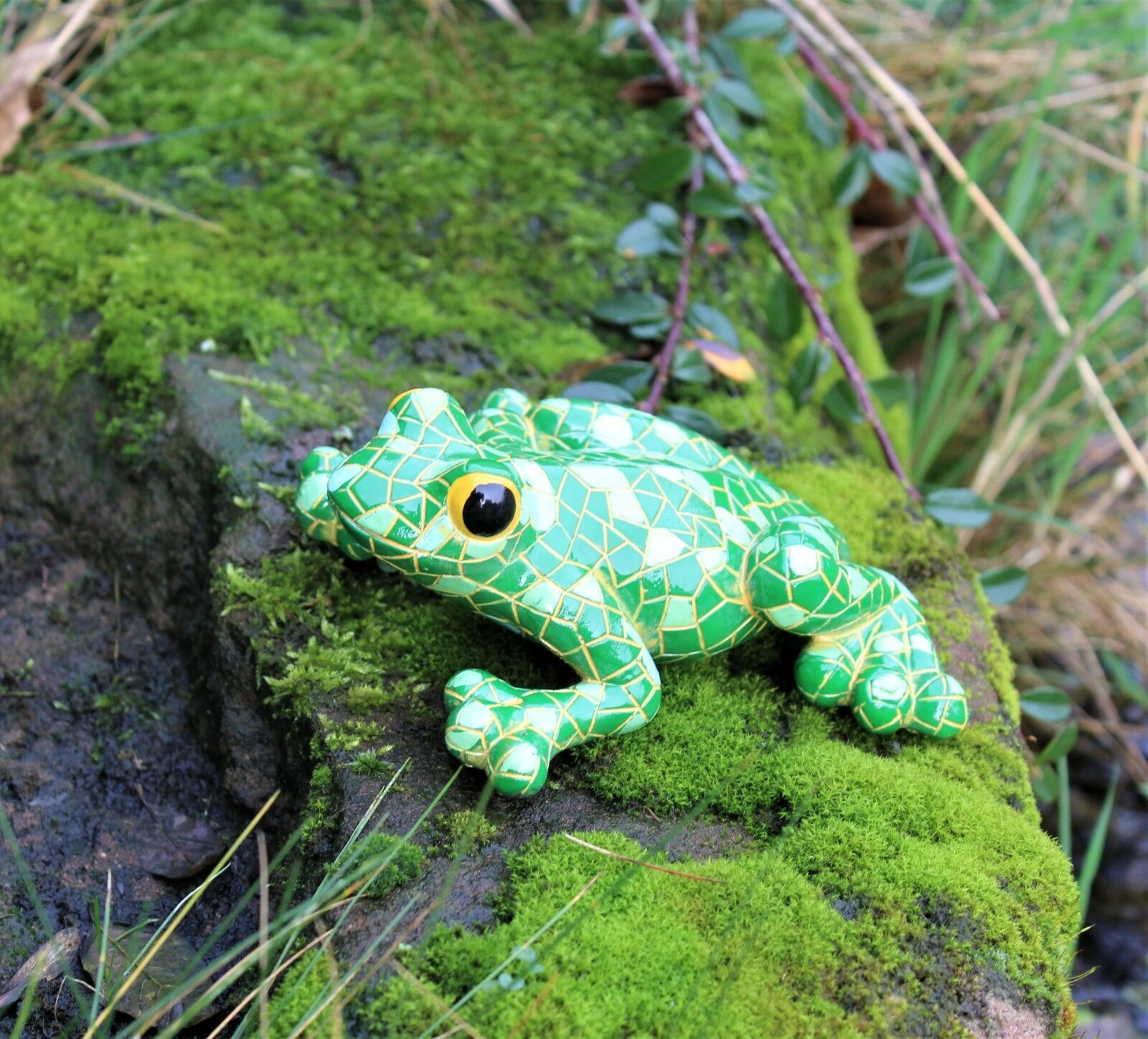 Mosaic Garden and Tree Frog