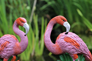 Pink Solar flamingo's