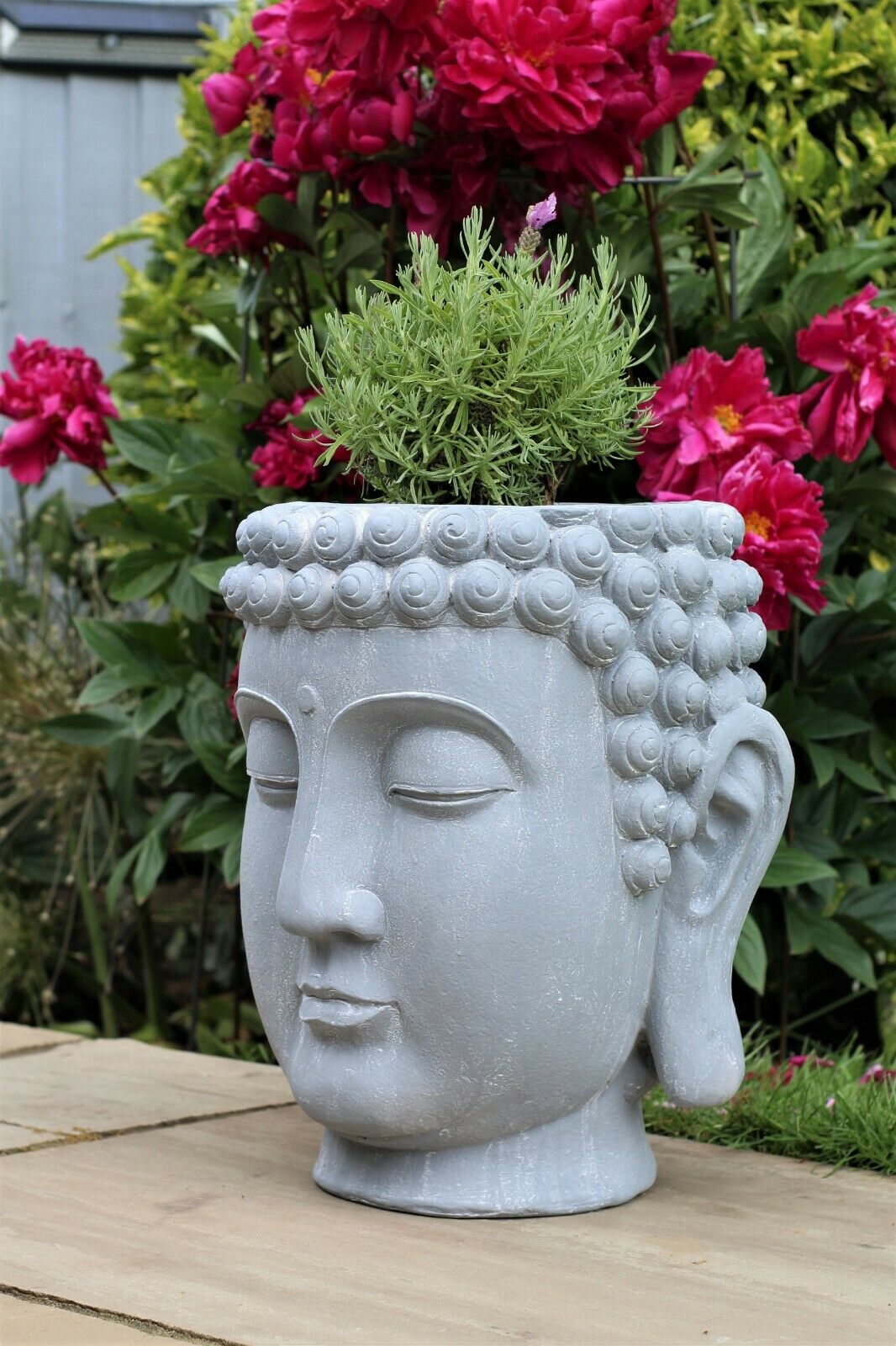 Buddha Head Pot Planter