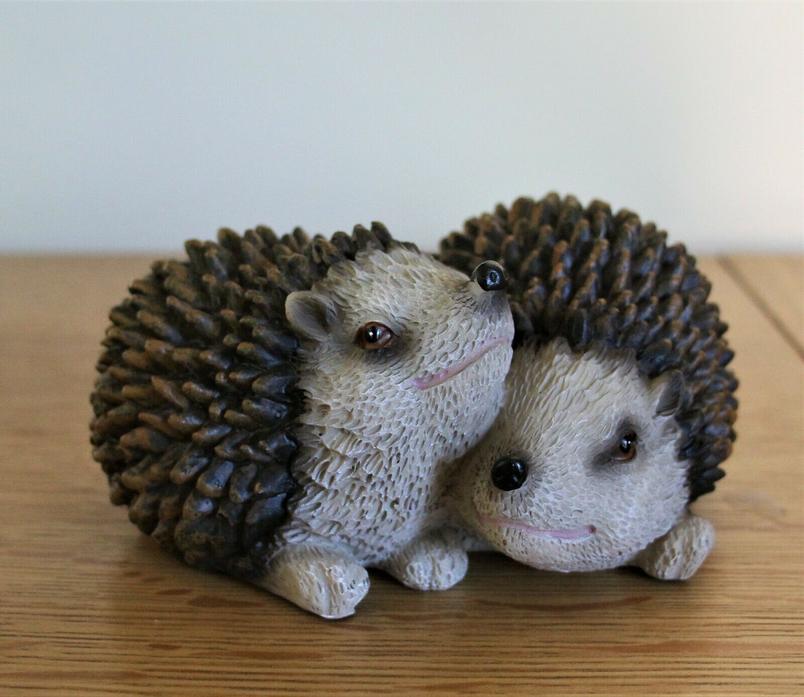 Pair of Baby Hedgehogs