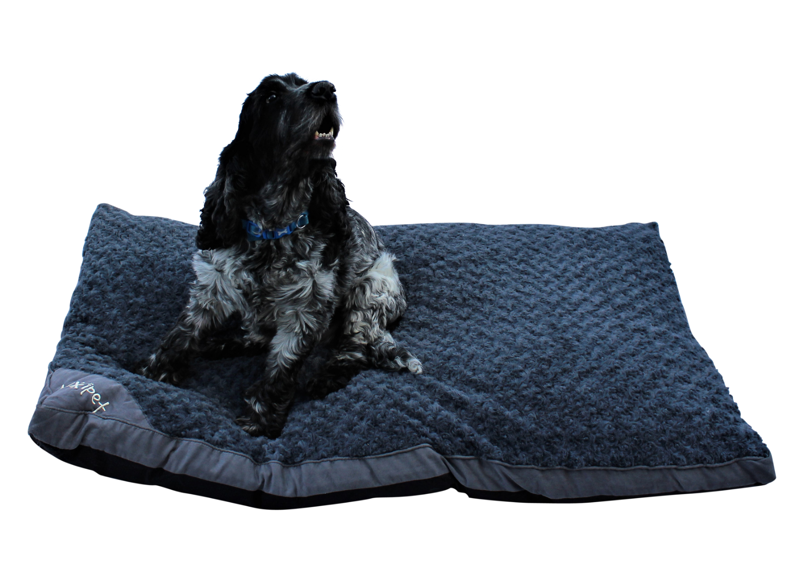 Super Soft Pet Bed Cushion