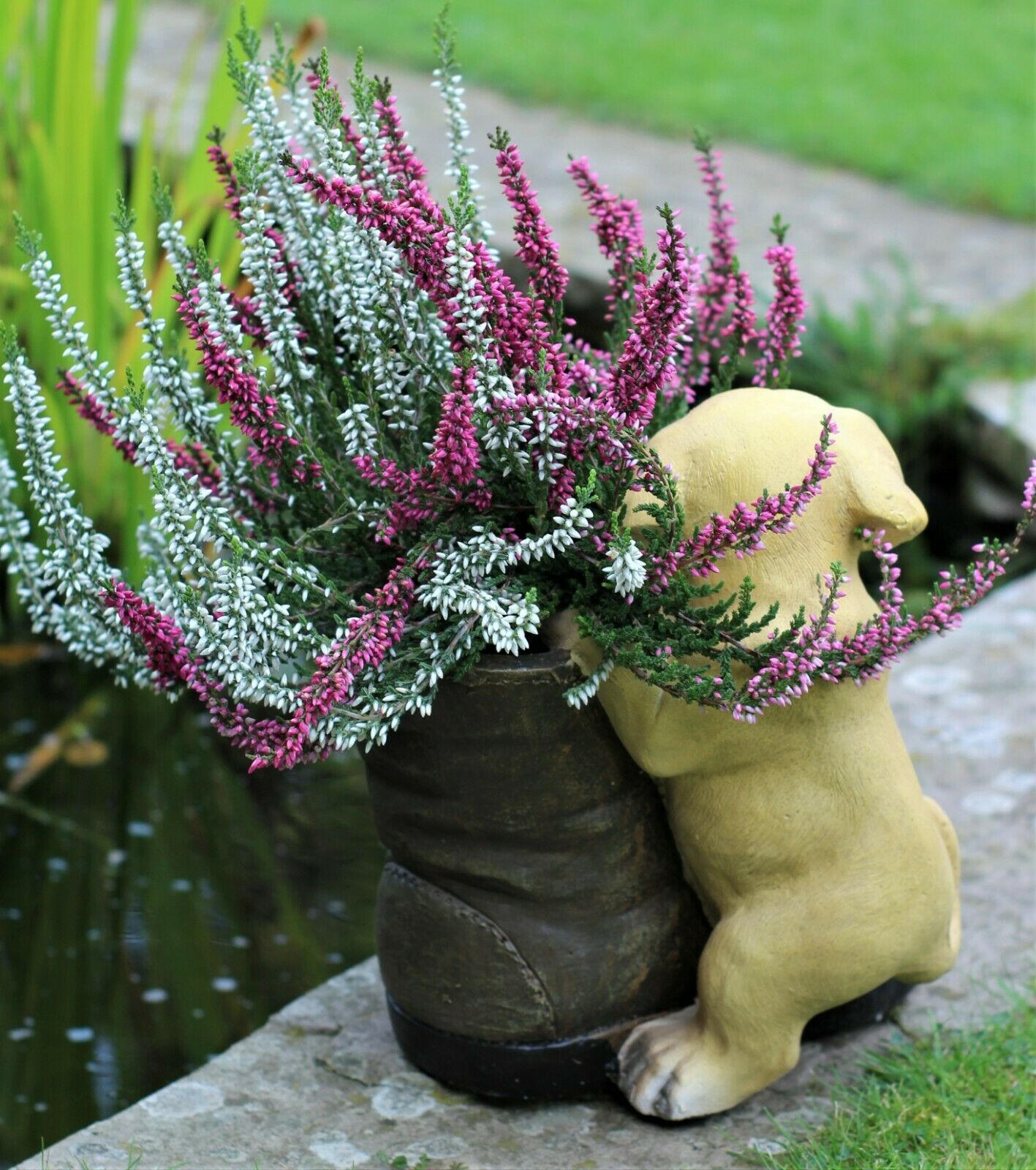 Puppy & Boot Pot Planter