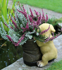 Puppy & Boot Pot Planter