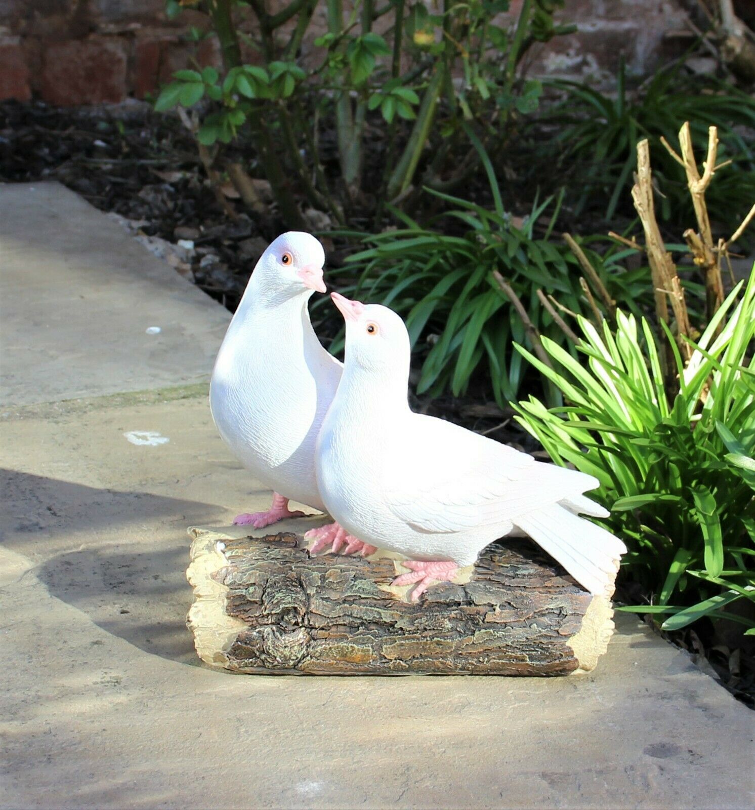 Love Doves