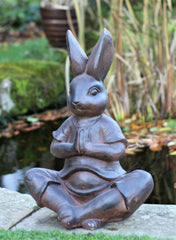 Yoga Rabbit