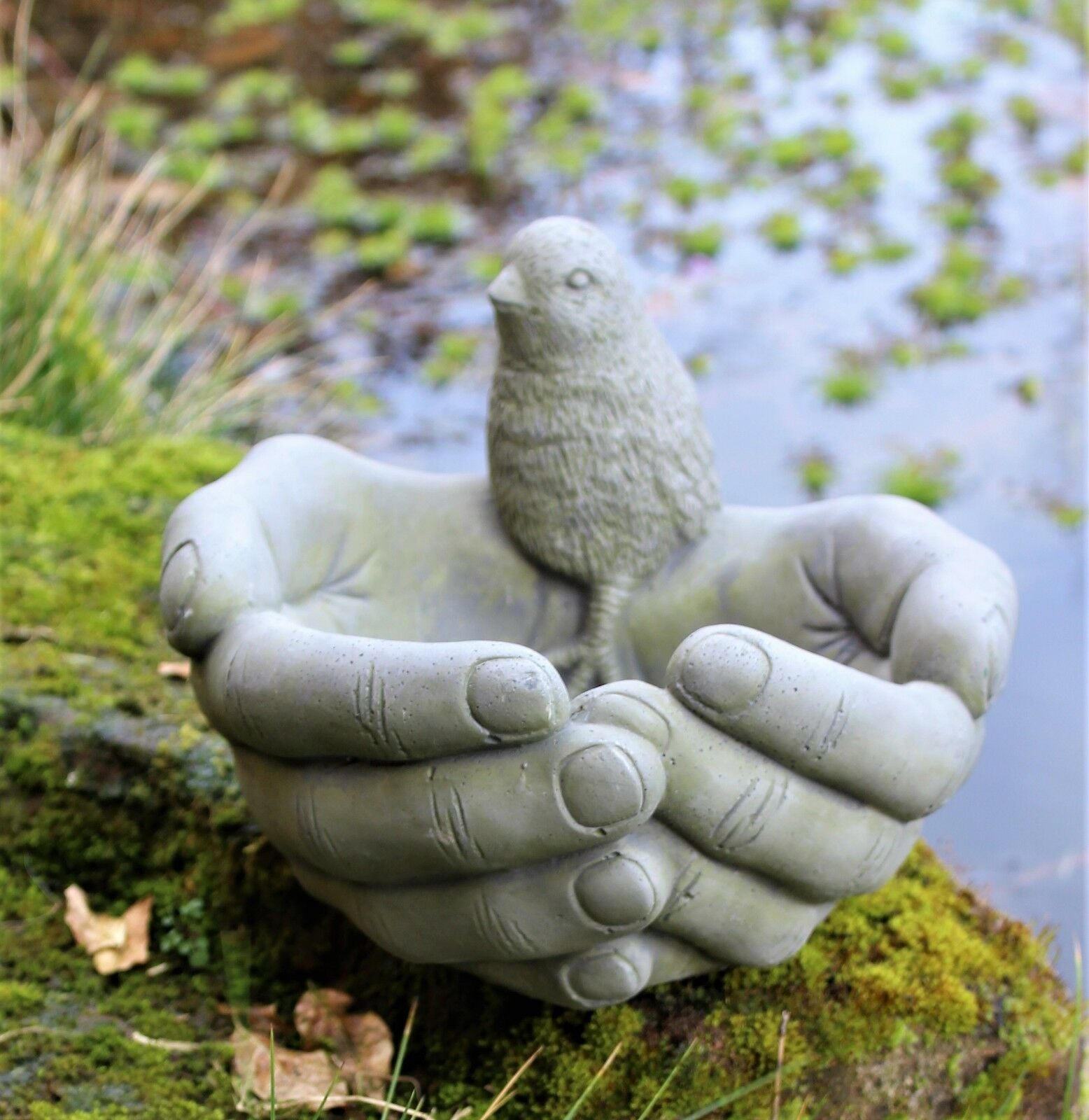 Outdoor Birds on Hands Bird Bath