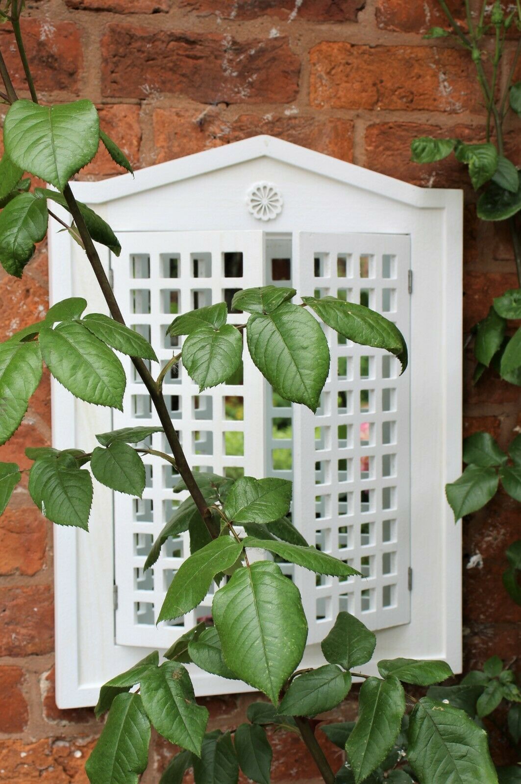 White Shutter Mirror - Indoor & Outdoor