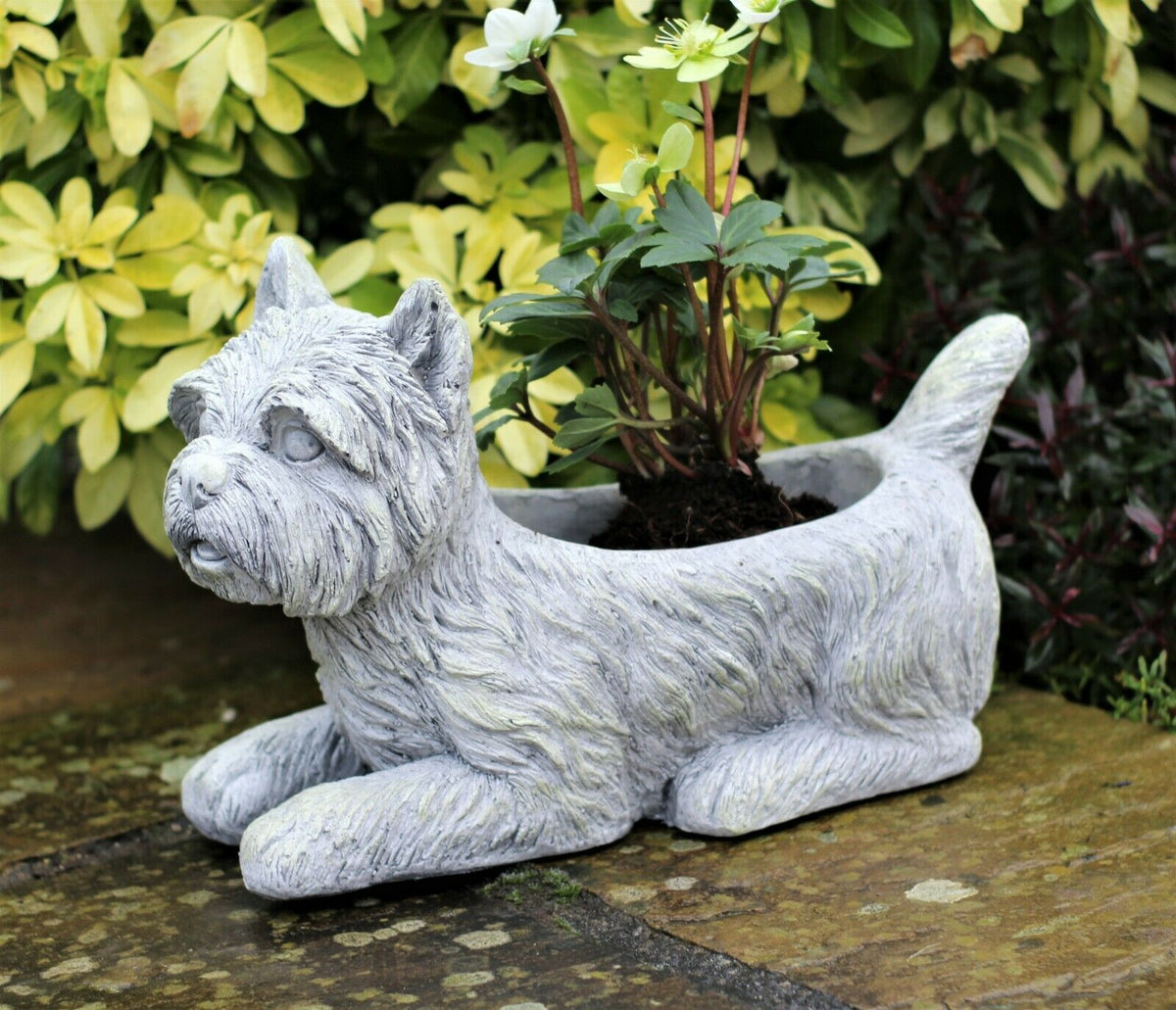 Westie Dog Pot Planter