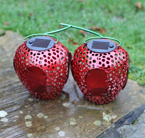 Solar Strawberry Lantern