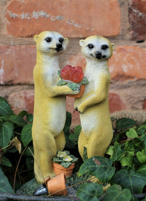 Valentine Solar Meerkat Couple Garden Ornament