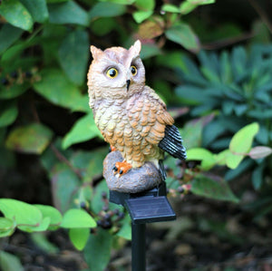 Solar Garden Ornament Tawny Owl